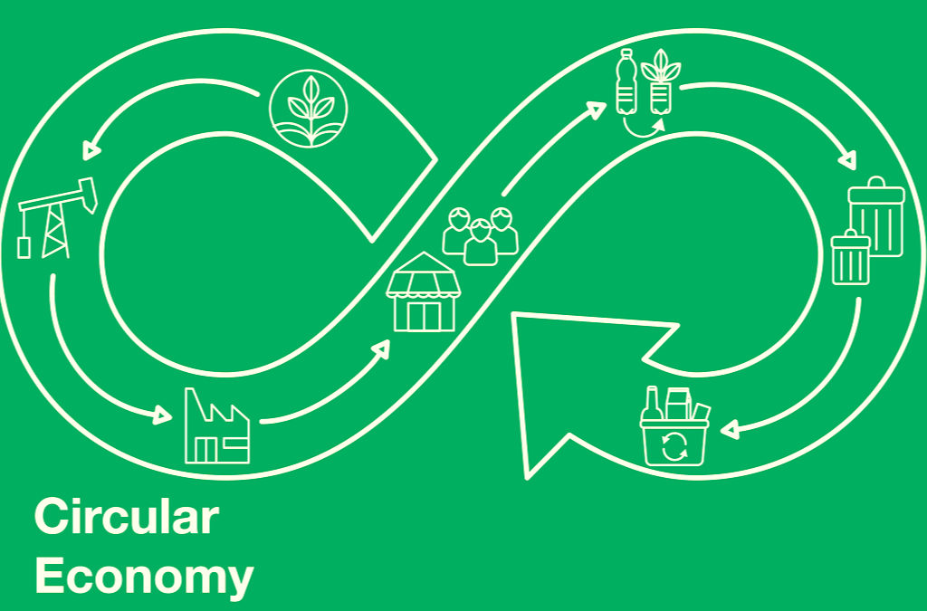 What are the Principles of the Circular Economy?